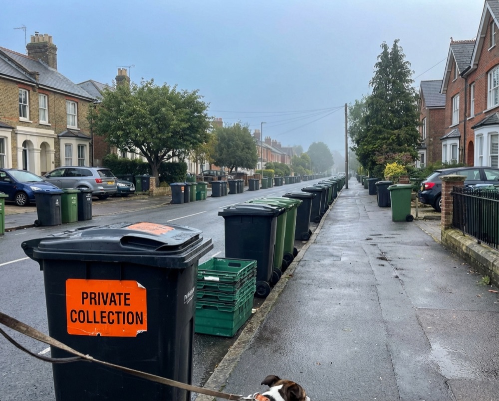 Residential street with bins in Selsey awaiting collection